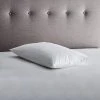 Hotel Goose Feather And Down Pillow